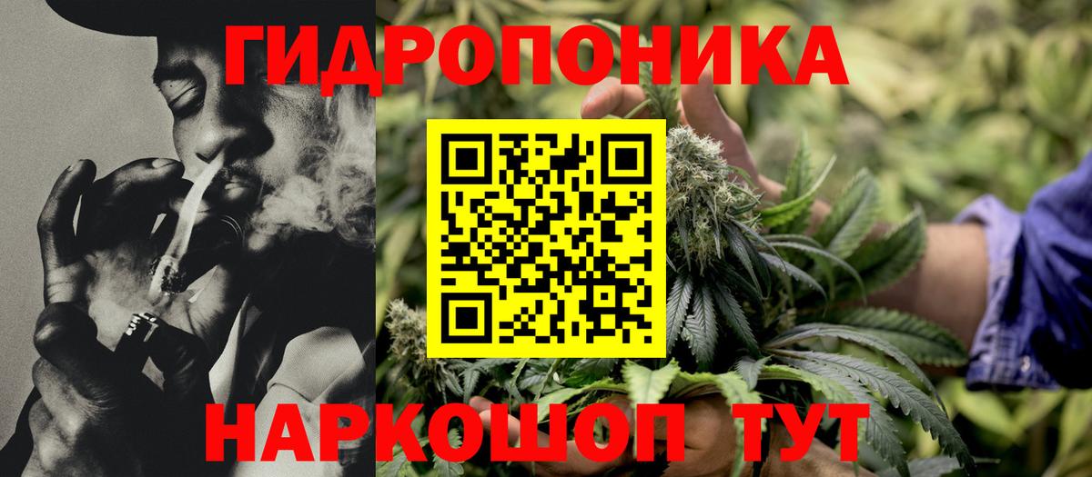 Бошки Шишки Ganja  Вход с VPN  Комсомольск-на-Амуре  Бошки марихуана сатива 
